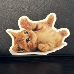 ORANGE KITTEN/ CAT STICKER